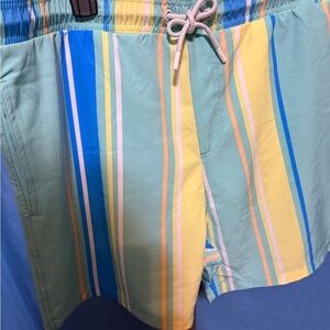 Striped Multicolor Men's Swim Trunks